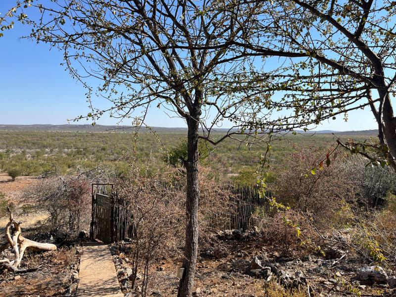 Excellent Adventures in Namibia and Botswana