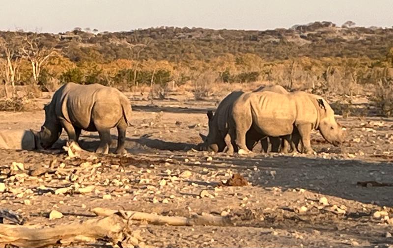 Excellent Adventures in Namibia and Botswana