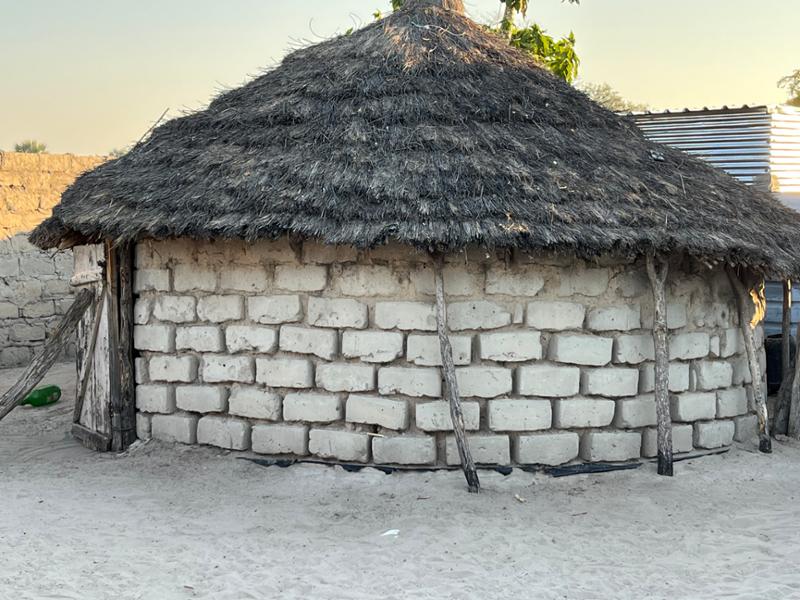 Excellent Adventures in Namibia and Botswana