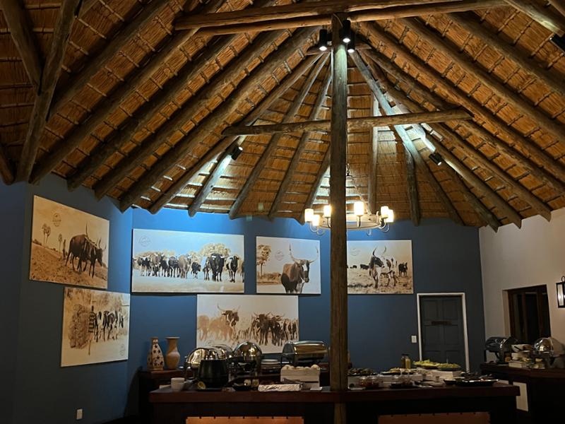 Excellent Adventures in Namibia and Botswana