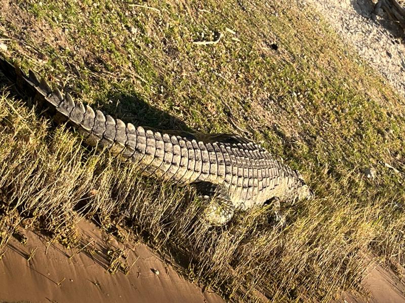 Excellent Adventures in Namibia and Botswana