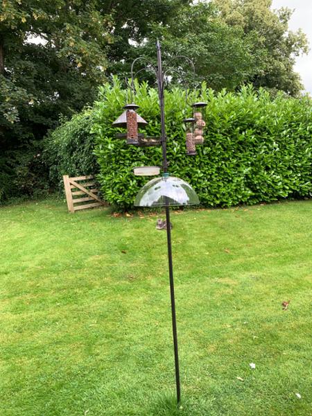 Squirrel Baffle success