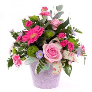 Lovely gift