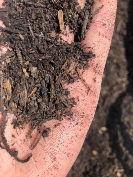 Soil not mulch