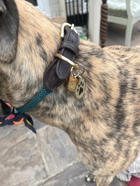 Digby & Fox Fine Rope Collar