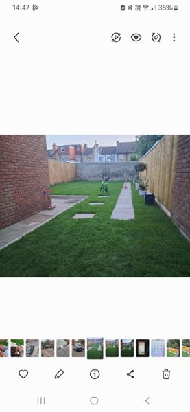 Good grass, good price and good service. Thanks