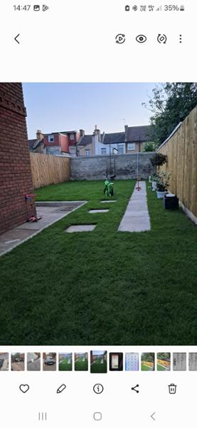 Good grass, good price and good service. Thanks