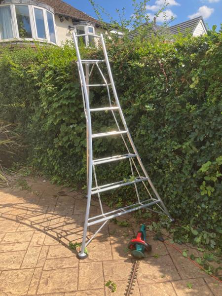 Great stable steps