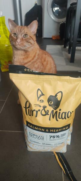 Dry Cat Food | 1.5kg | Hypoallergenic | Salmon and Herring | Grain Free & Natural Ingredients | Vet Recommended | Purr and Miaow
