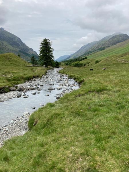 Immersion in the wilds of the Lake District