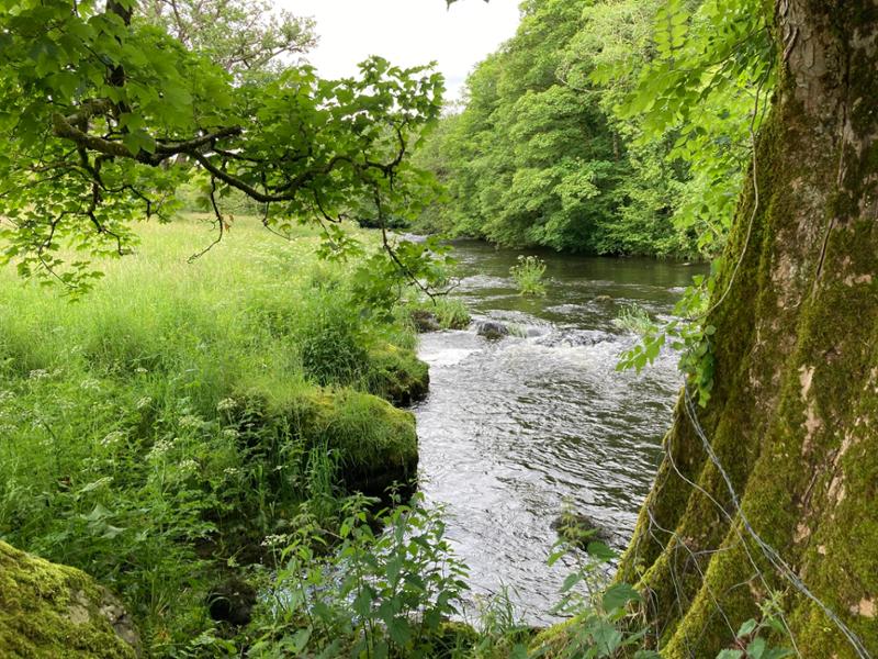 Across the Dales