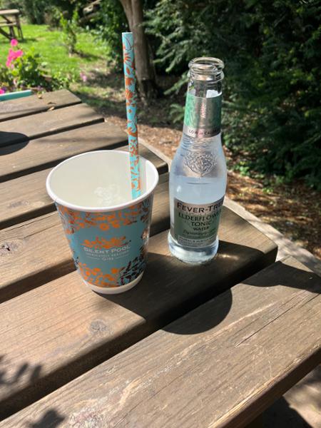 Sunshine and gin tours