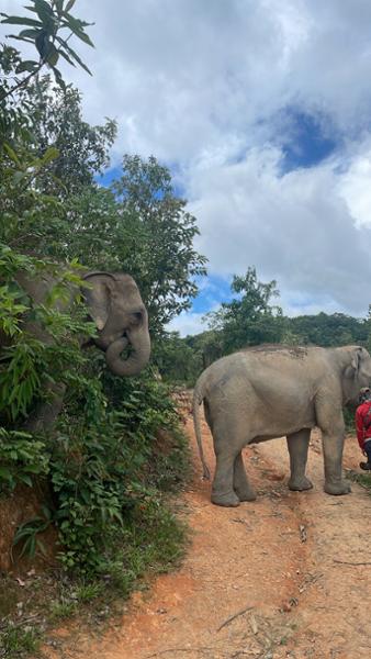 south east asia adventure