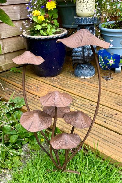 Love The National Trust shop, quality products that enhance my garden