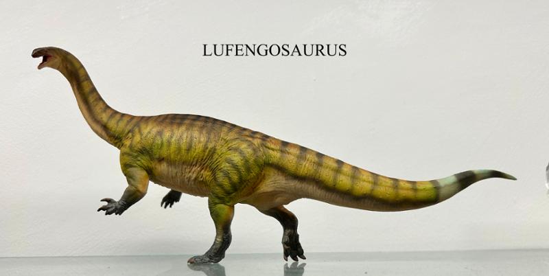 More good stuff from PNSO and Everything Dinosaur.
