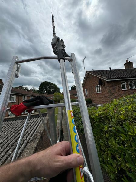 Great ladder  perfect for the job.