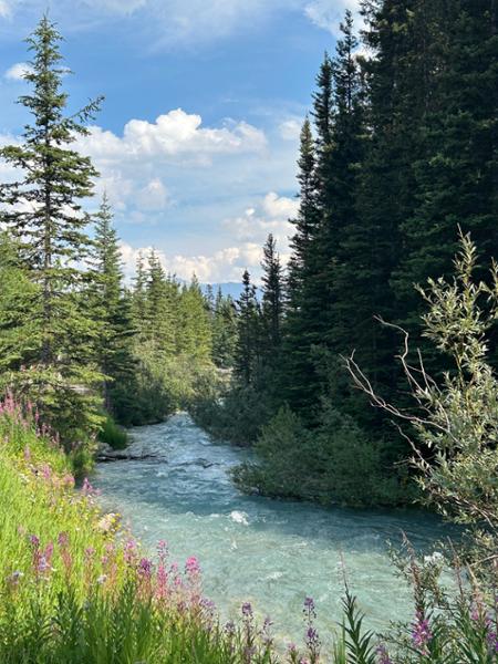 Some Canadian Rockies