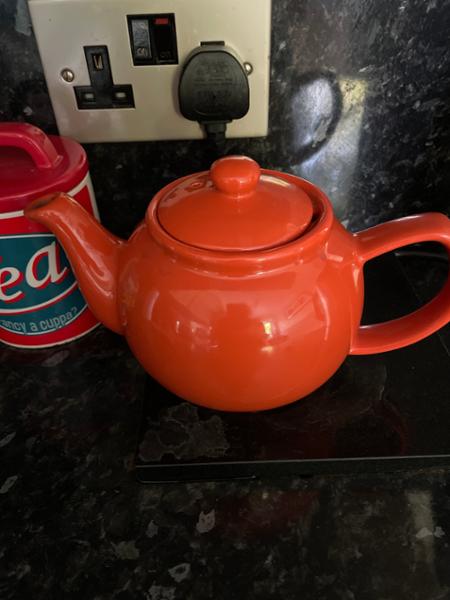 Price & Kensington Burnt Orange 6 Cup Teapot 1100ml