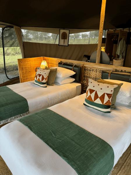 Milestone safari of my dreams