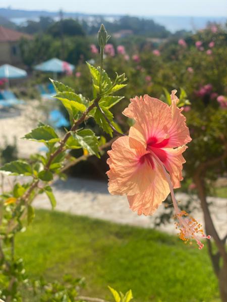 Another fabulous holiday!