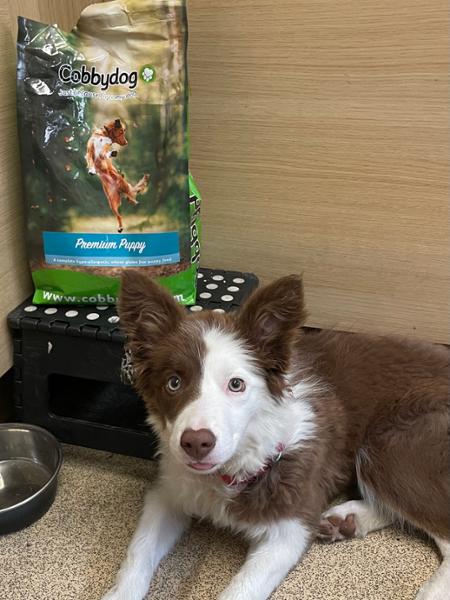 Bonnie,s fav food and more