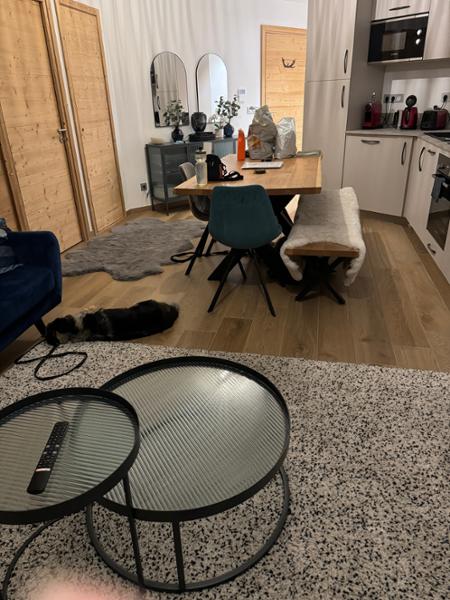 Fabulous dog-friendly accommodation in Morzine Center