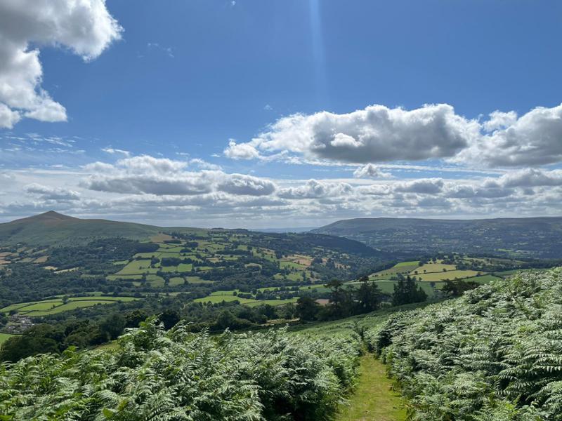 Wonderful Wales