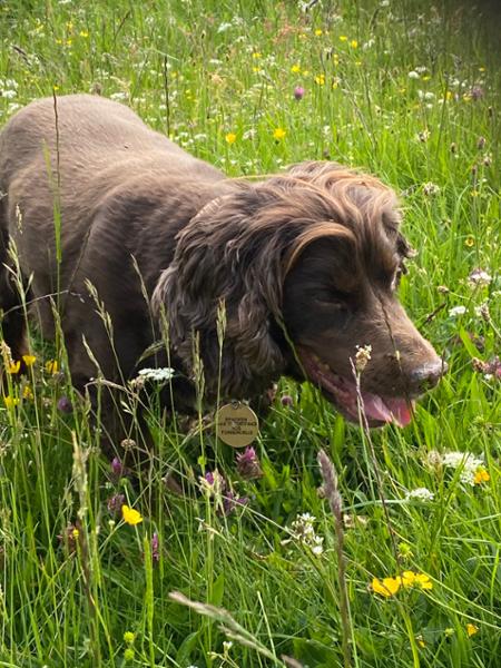 Excellent
