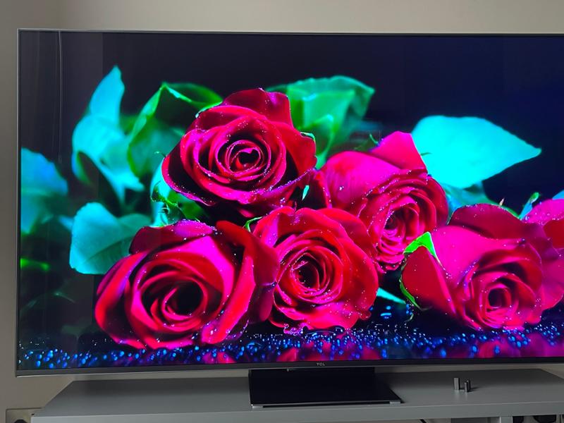 Good TV panel, best HDR content viewer, best budget TV you will find