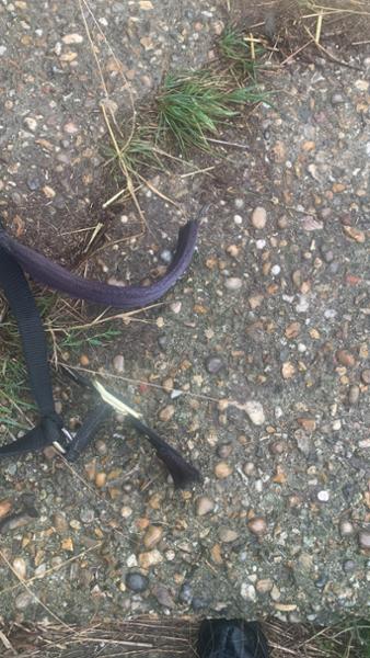 ARMA Fleece Headcollar & Lead Rope