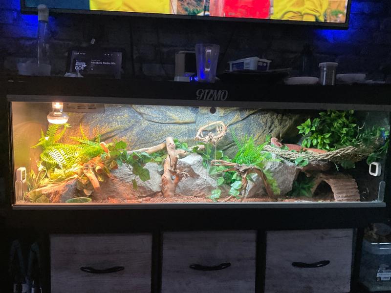 Great reptile store
