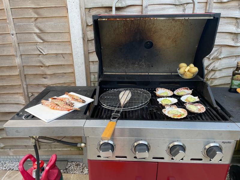 Excellent Rockfish frozen bbq box
