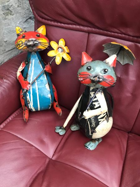 Colourful Cats!