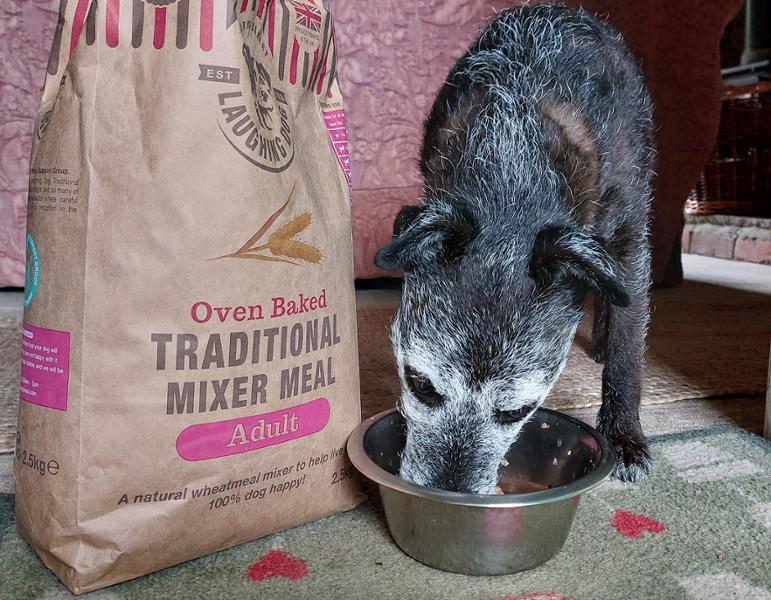 Traditional Mixer Meal for Dogs - 15kg