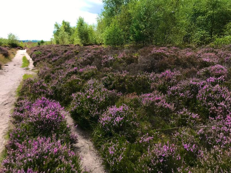 Wonderful walking in the Peaks