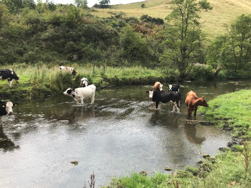 Wonderful walking in the Peaks
