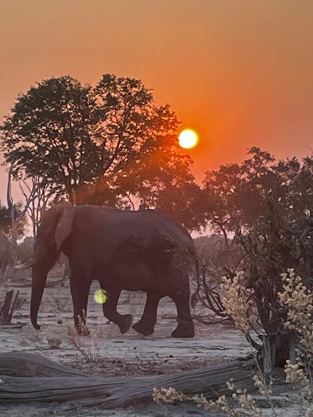 Unforgettable African adventure