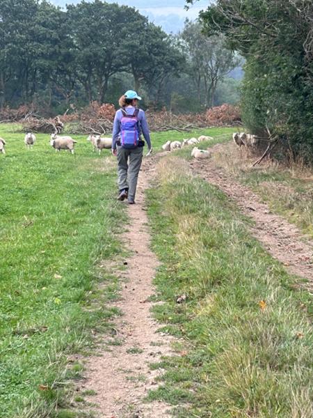 Great walk in hilly terrain
