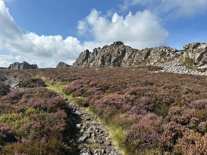 Great walk in hilly terrain