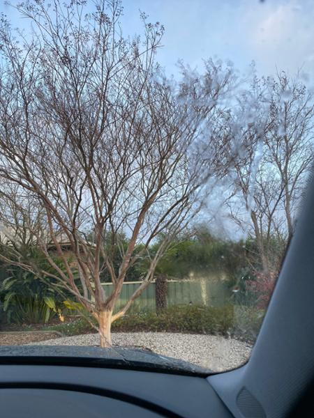 Easy to fit, poor quality wiper