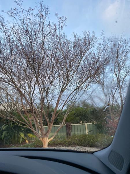 Easy to fit, poor quality wiper
