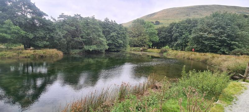 Cornish Meadows Holiday Park