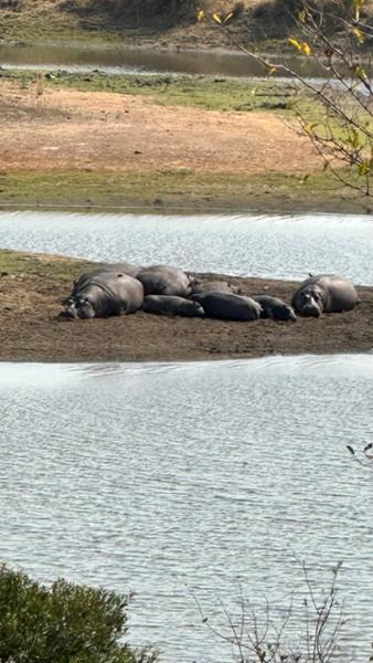 Family trip to Kruger national park and Victoria Falls