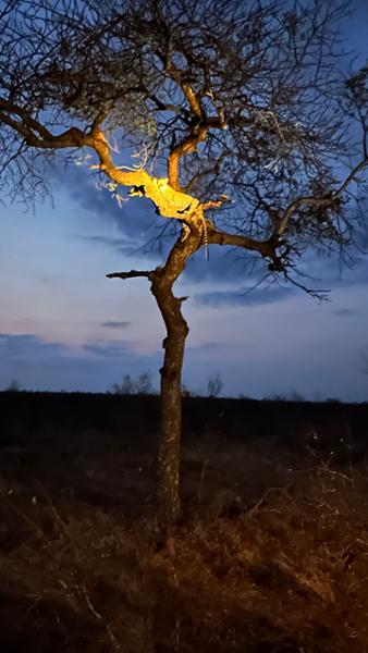 Family trip to Kruger national park and Victoria Falls