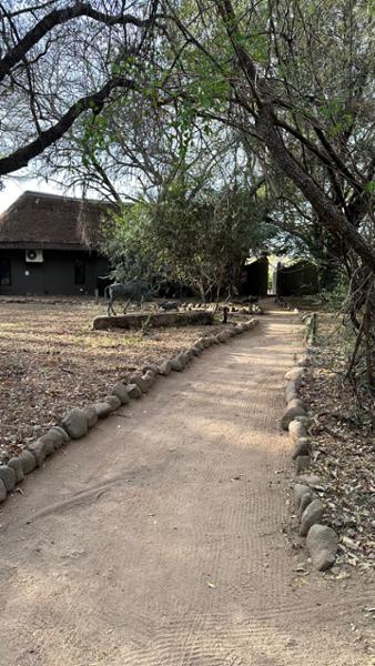 Family trip to Kruger national park and Victoria Falls