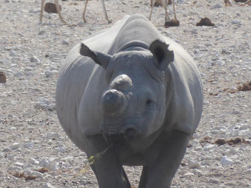 Life changing adventure in Southern Africa