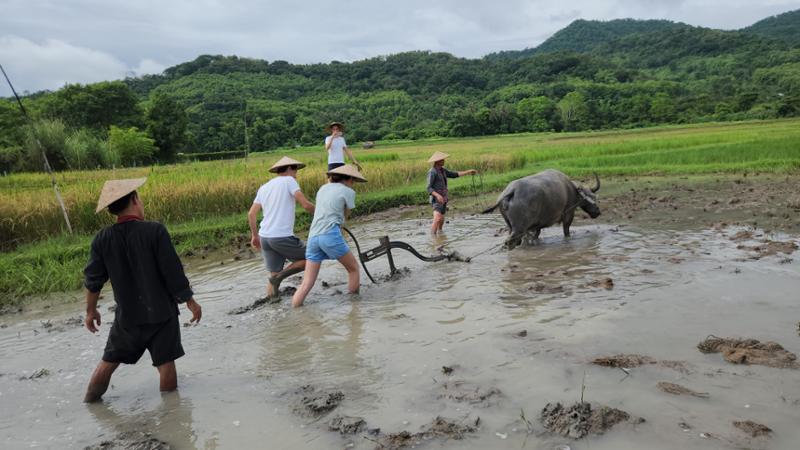 Southeast Asia Adventure 31-Day Tour
