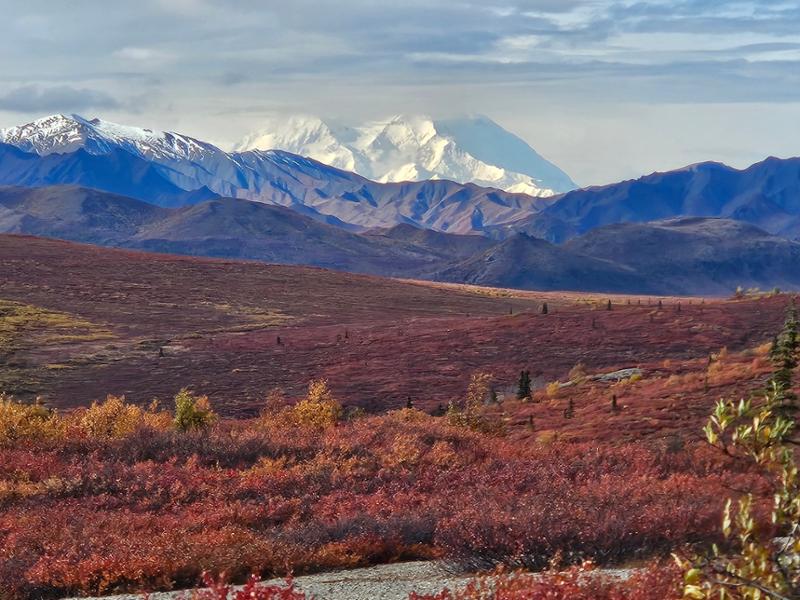 Jewels of Alaska