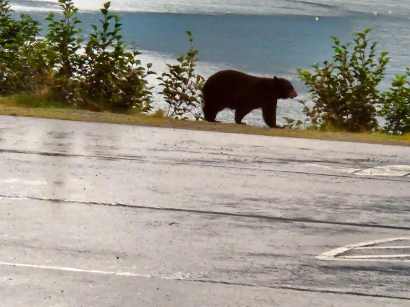 Majestic Alaska