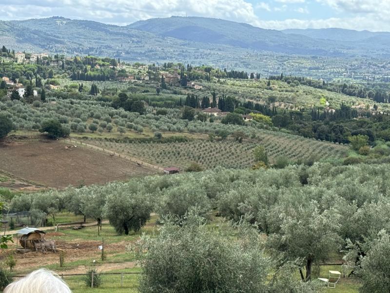 Italian Paradise